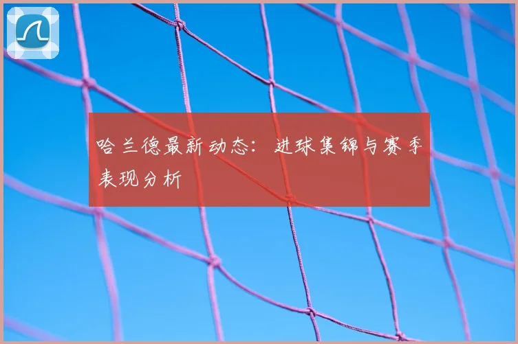 哈兰德最新动态:进球集锦与赛季表现分析