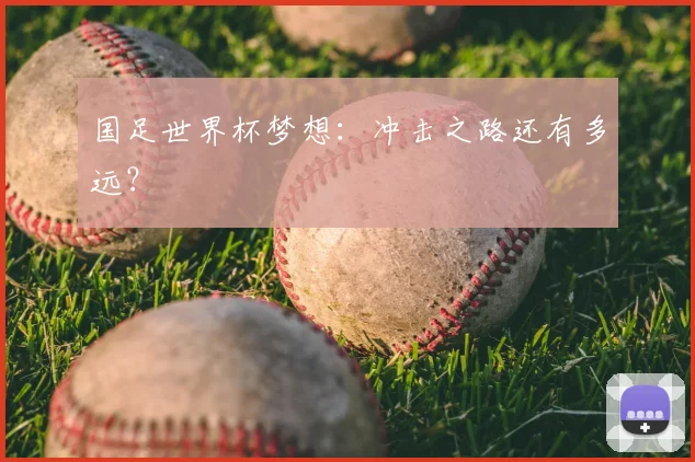 国足世界杯梦想:冲击之路还有多远?