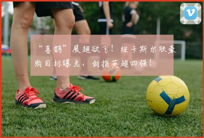 “喜鹊”展翅欲飞！纽卡斯尔联豪购目标曝光，剑指英超四强！