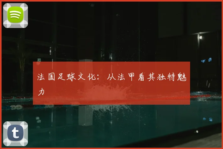 法国足球文化：从法甲看其独特魅力