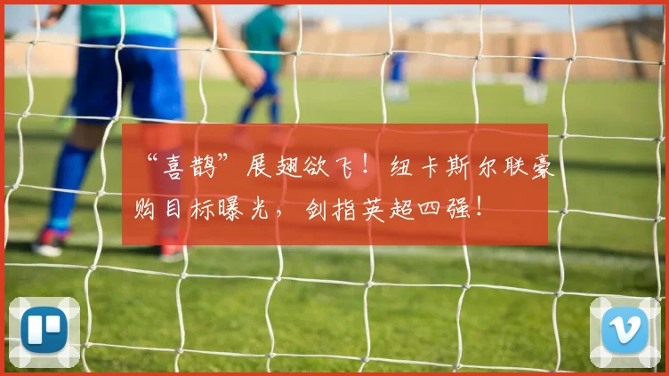 “喜鹊”展翅欲飞！纽卡斯尔联豪购目标曝光，剑指英超四强！