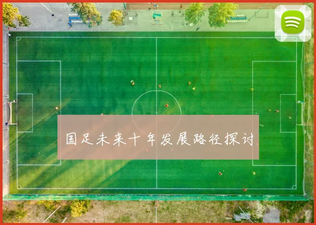 国足未来十年发展路径探讨